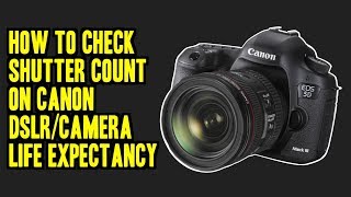 Canon 5d Shutter Count Check